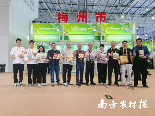 智創未來，AI賦能 蕉嶺毛竹品牌煥新，實業公司引領產業升級